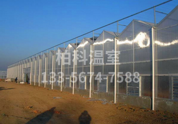 陽(yáng)光板溫室